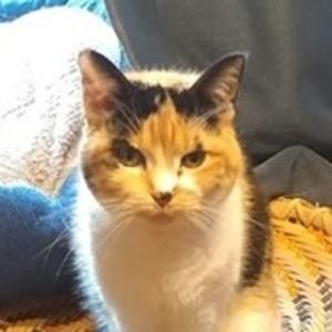 Meet your Posher, Vicki